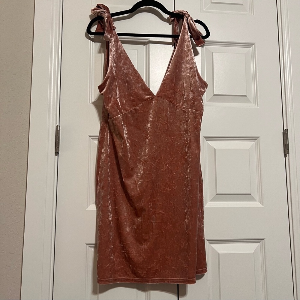Elegant Velvet Blush Dress